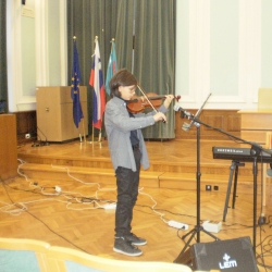 Violina