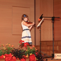 Violina