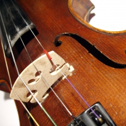 Poučevanje violine